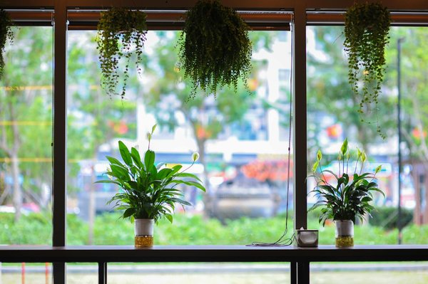 Entreartistesmagazine